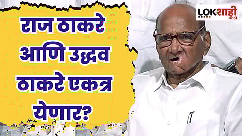 राज ठाकरे आणि उद्धव ठाकरे एकत्र येणार? शरद पवार, म्हणाले…