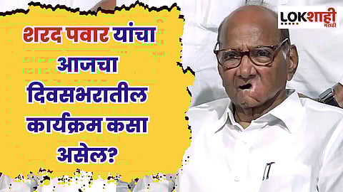 राजकीय भूकंपानंतर शरद पवार यांचा आजचा दिवसभरातील कार्यक्रम कसा असेल?