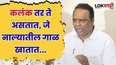 कलंक तर ते असतात, जे नाल्यातील गाळ खातात, रस्त्यावरचे डांबर खातात - आशिष शेलार
