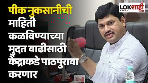 पीक नुकसानीची माहिती कळविण्याच्या
मुदत वाढीसाठी केंद्राकडे पाठपुरावा करणार : कृषीमंत्री