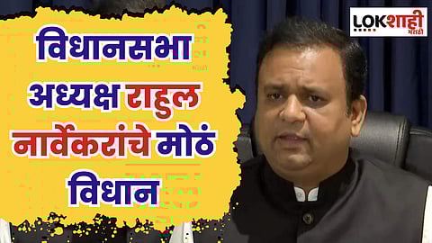 राष्ट्रवादीत खरंच दोन गट पडले? विधानसभा अध्यक्ष राहुल नार्वेकरांचे मोठं विधान म्हणाले...