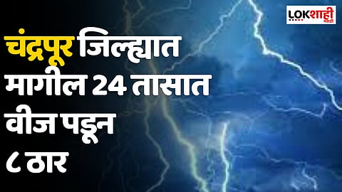 Chandrapur जिल्ह्यात मागील 24 तासात वीज पडून ८ ठार, नऊ जखमी