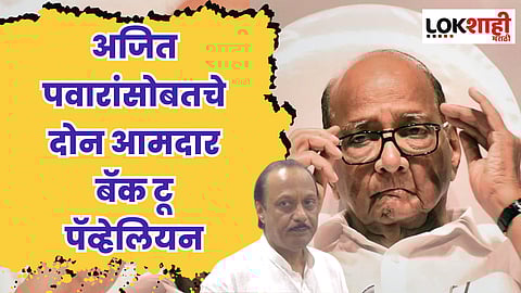 आमच्या खोट्या सह्या घेण्यात आल्या; अजित पवारांसोबतचे दोन आमदार बॅक टू पॅव्हेलियन