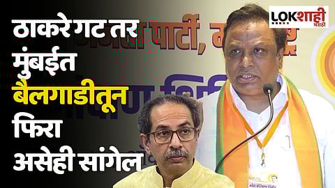 ठाकरे गट तर मुंबईत बैलगाडीतून फिरा असेही सांगेल; शेलारांचा टोला