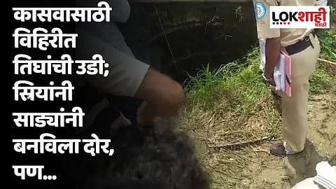 कासवासाठी विहिरीत तिघांची उडी; स्रियांनी साड्यांनी बनविला दोर,पण...