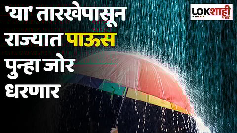 हवामान विभागाने दिली गुडन्यूज; 'या' तारखेपासून राज्यात पाऊस पुन्हा जोर धरणार