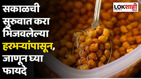 सकाळची सुरुवात करा भिजवलेल्या हरभऱ्यांपासून, जाणून घ्या फायदे