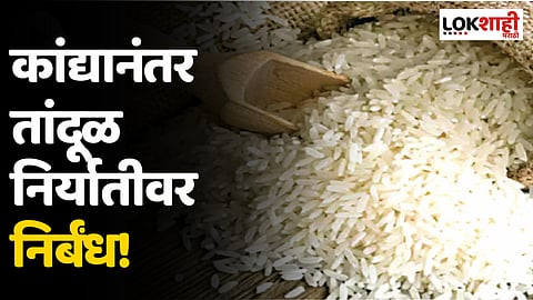 Rice Export : आता कांद्यानंतर तांदूळ निर्यातीवर निर्बंध!