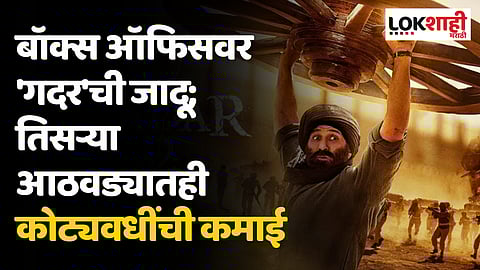 Gadar 2: बॉक्स ऑफिसवर गदरची जादू; तिसऱ्या आठवड्यातही कोट्यवधींची कमाई