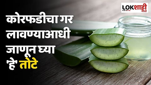 कोरफडीचा गर लावण्याआधी जाणून घ्या 'हे' तोटे; होऊ शकतात त्वचेसंबंधीत समस्या