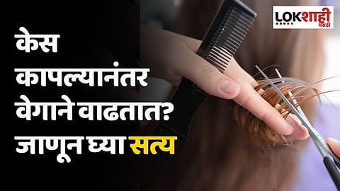 केस कापल्यानंतर वेगाने वाढतात? जाणून घ्या सत्य