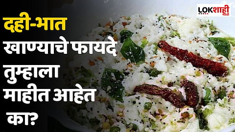 दही-भात खाण्याचे फायदे तुम्हाला माहीत आहेत का?