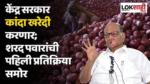 केंद्र सरकार कांदा खरेदी करणार; शरद पवारांची पहिली प्रतिक्रिया, म्हणाले अपेक्षा...