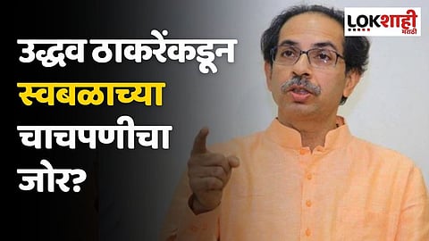 उद्धव ठाकरेंकडून स्वबळाच्या चाचपणीचा जोर? मातोश्रीवर बैठकांचा धडाका