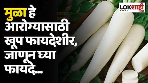 Radish: मुळा आरोग्यासाठी खूप फायदेशीर, जाणून घ्या फायदे...