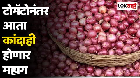 Onion Price Hike : टोमॅटोनंतर आता कांदाही होणार महाग; जाणून घ्या भाव किती वाढणार