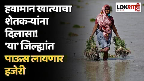 हवामान खात्याचा शेतकऱ्यांना दिलासा! 'या' जिल्ह्यांत पाऊस लावणार हजेरी