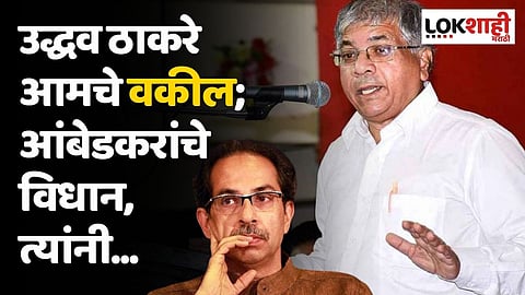 उद्धव ठाकरे आमचे वकील; आंबेडकरांचे विधान, त्यांनी...