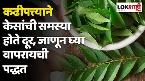कढीपत्त्याने केसांची समस्या होते दूर, जाणून घ्या वापरायची पद्धत