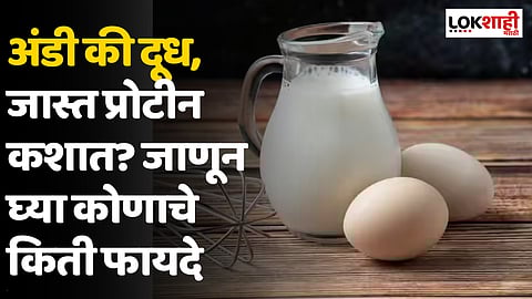 अंडी की दूध, जास्त प्रोटीन कशात? जाणून घ्या कोणाचे किती फायदे