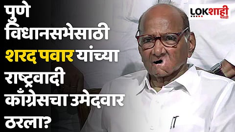 पुणे विधानसभेसाठी शरद पवार यांच्या राष्ट्रवादी काँग्रेसचा उमेदवार ठरला? 'या' नावाची चर्चा