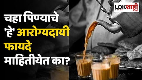 चहा पिण्याचे 'हे' आरोग्यदायी फायदे माहितीयेत का?