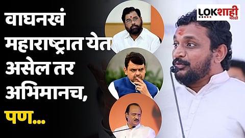 वाघनखं महाराष्ट्रात येत असेल तर अभिमानच, पण...; मिटकरींचा सरकारला घरचा आहेर