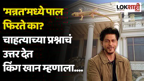 Shah Rukh Khan : 'मन्नत'मध्ये पाल फिरते का? किंग खानने खास अंदाजात दिले चाहत्याच्या प्रश्नाचं उत्तर
