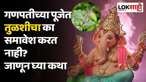 गणपतीच्या पूजेत तुळशीचा का समावेश करत नाही? जाणून घ्या कथा