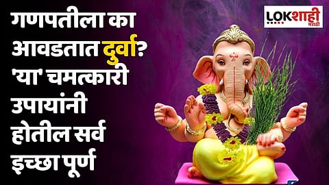 गणपतीला का आवडतात दुर्वा? 'या' चमत्कारी उपायांनी होतील सर्व इच्छा पूर्ण