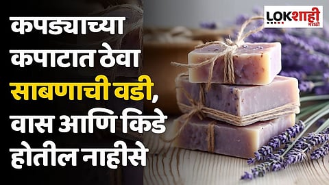 कपड्याच्या कपाटात ठेवा साबणाची वडी, वास आणि किडे होतील नाहीसे