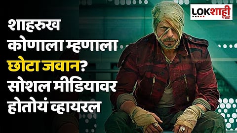 शाहरुख कोणाला म्हणाला छोटा जवान? सोशल मीडियावर होतोयं व्हायरल