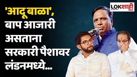 'आदू बाळा', बाप आजारी असताना सरकारी पैशावर लंडनमध्ये...; शेलारांचा प्रहार
