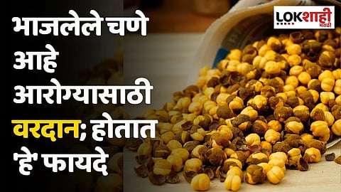 भाजलेले चणे आहे आरोग्यासाठी वरदान; होतात 'हे' फायदे