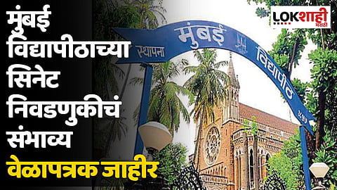 मुंबई विद्यापीठाच्या सिनेट निवडणुकीचं संभाव्य वेळापत्रक जाहीर