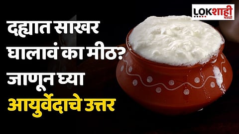 दह्यात साखर घालावं का मीठ? काय आहे अधिक फायदेशीर? जाणून घ्या आयुर्वेदाचे उत्तर