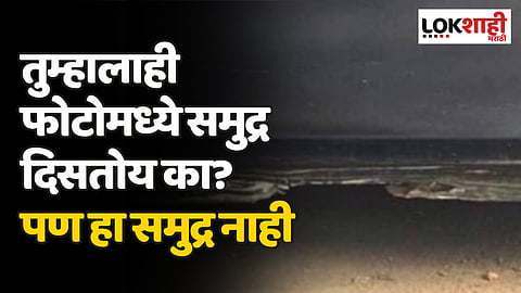 Optical Illusions : तुम्हालाही फोटोमध्ये समुद्र दिसतोय का? पण हा समुद्र नाही, या कोड्यांसमोर भल्याभल्यांनी टेकले हात ...