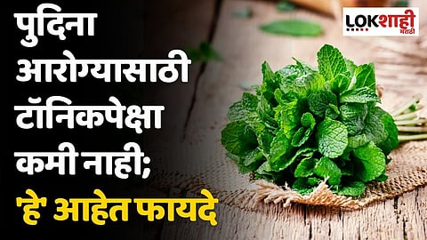 पुदिना आरोग्यासाठी टॉनिकपेक्षा कमी नाही; 'हे' आहेत फायदे