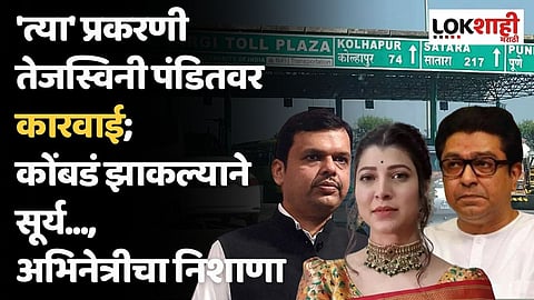 'त्या' प्रकरणी तेजस्विनी पंडितवर कारवाई; कोंबडं झाकल्याने सूर्य..., अभिनेत्रीचा निशाणा