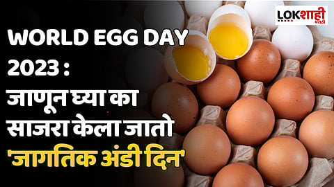 World Egg Day 2023 : जाणून घ्या का साजरा केला जातो 'जागतिक अंडी दिन'