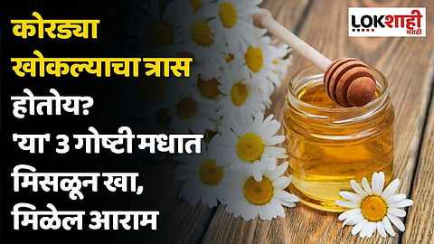 कोरड्या खोकल्याचा त्रास होतोय? 'या' 3 गोष्टी मधात मिसळून खा, लगेच मिळेल आराम