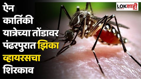 ऐन कार्तिकी यात्रेच्या तोंडावर पंढरपुरात झिका व्हायरसचा शिरकाव