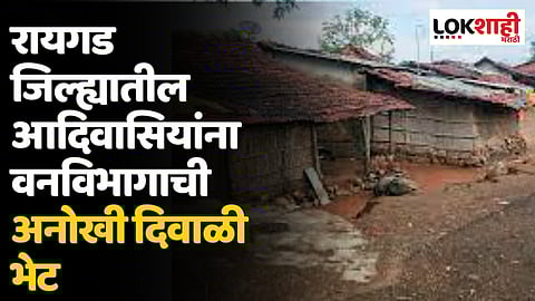रायगड जिल्ह्यातील आदिवासियांना वनविभागाची अनोखी दिवाळी भेट