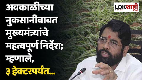अवकाळीच्या नुकसानीबाबत मुख्यमंत्र्यांचे महत्वपूर्ण निर्देश; म्हणाले, ३ हेक्टरपर्यंत...