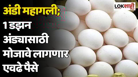 अंडी महागली; 1 डझन अंड्यासाठी मोजावे लागणार एवढे पैसे