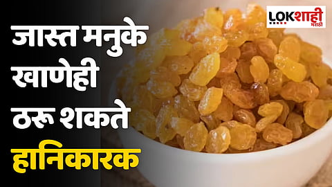 जास्त मनुके खाणेही ठरू शकते हानिकारक, जाणून घ्या दिवसात किती मनुके खावेत?