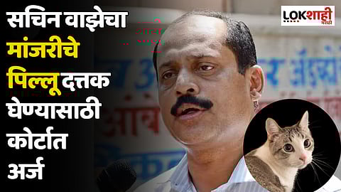 Sachin Vaze : सचिन वाझेचा मांजरीचे पिल्लू दत्तक घेण्यासाठी कोर्टात अर्ज