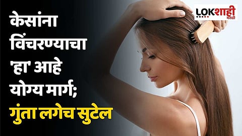 केसांना विंचरण्याचा 'हा' आहे योग्य मार्ग; गुंता लगेच सुटेल आणि होतील मोठे फायदे