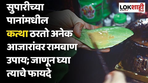 सुपारीच्या पानांमधील कत्था ठरतो अनेक आजारांवर रामबाण उपाय; जाणून घ्या त्याचे फायदे