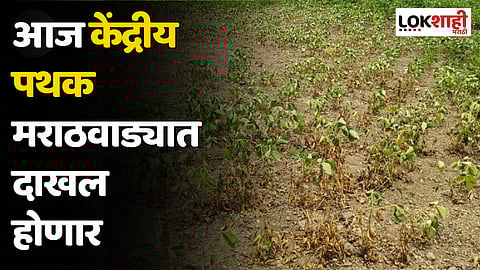 आज केंद्रीय पथक मराठवाड्यात दाखल होणार